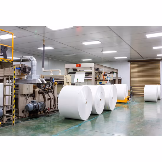 Recycelbare, abbaubare Tasse aus Bambusfaser, Tafelgeschirr, Party-Mittagessen, umweltfreundliches Material